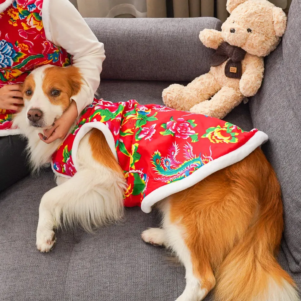 2025  winter dog clothing dog  - Winter Clothing Name recension och pris