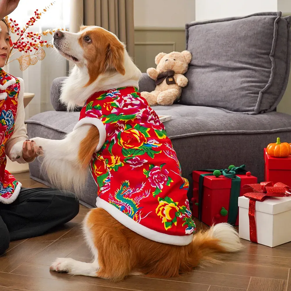 2025  winter dog clothing dog  - Winter Clothing Name recension och pris