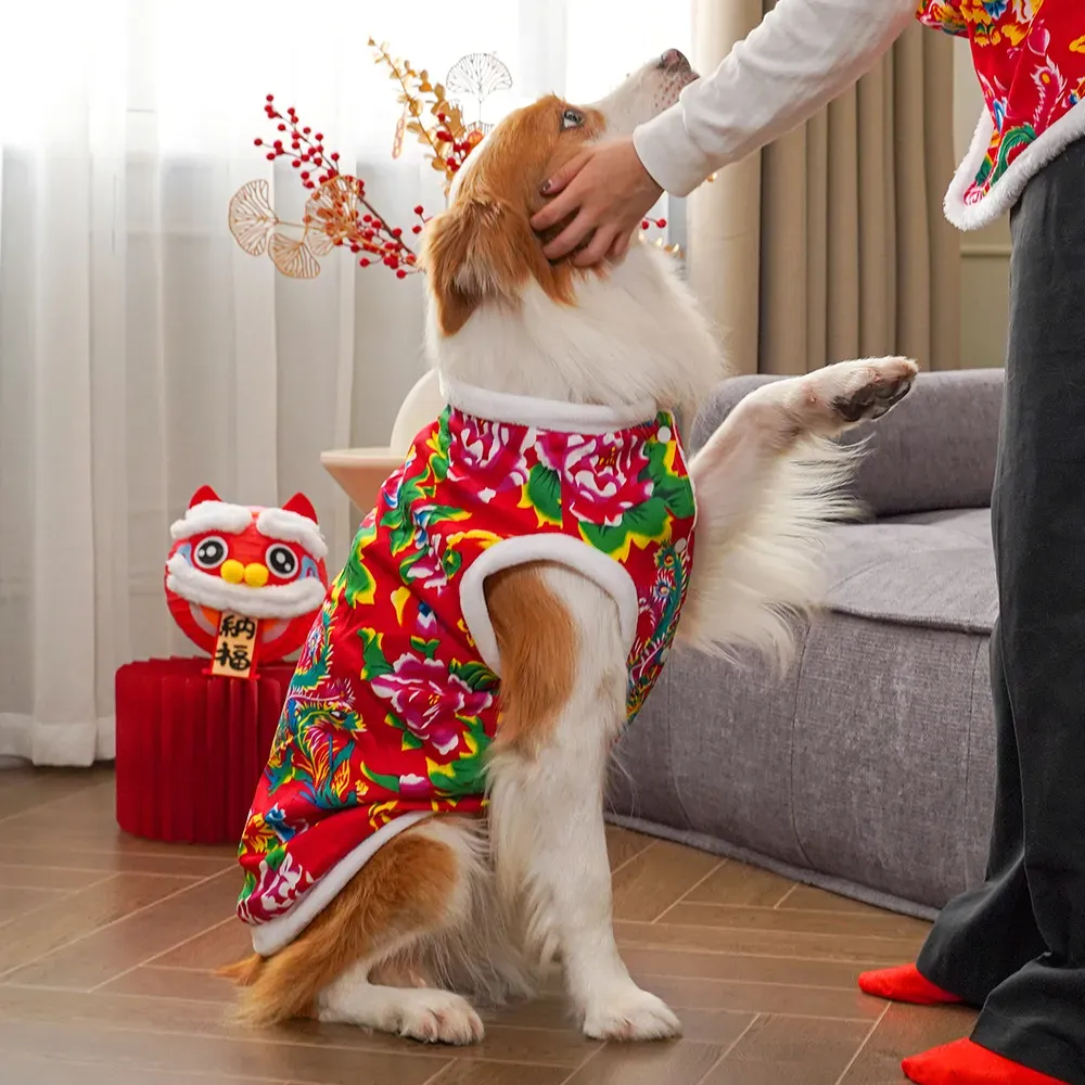 2025  winter dog clothing dog  - Winter Clothing Name recension och pris