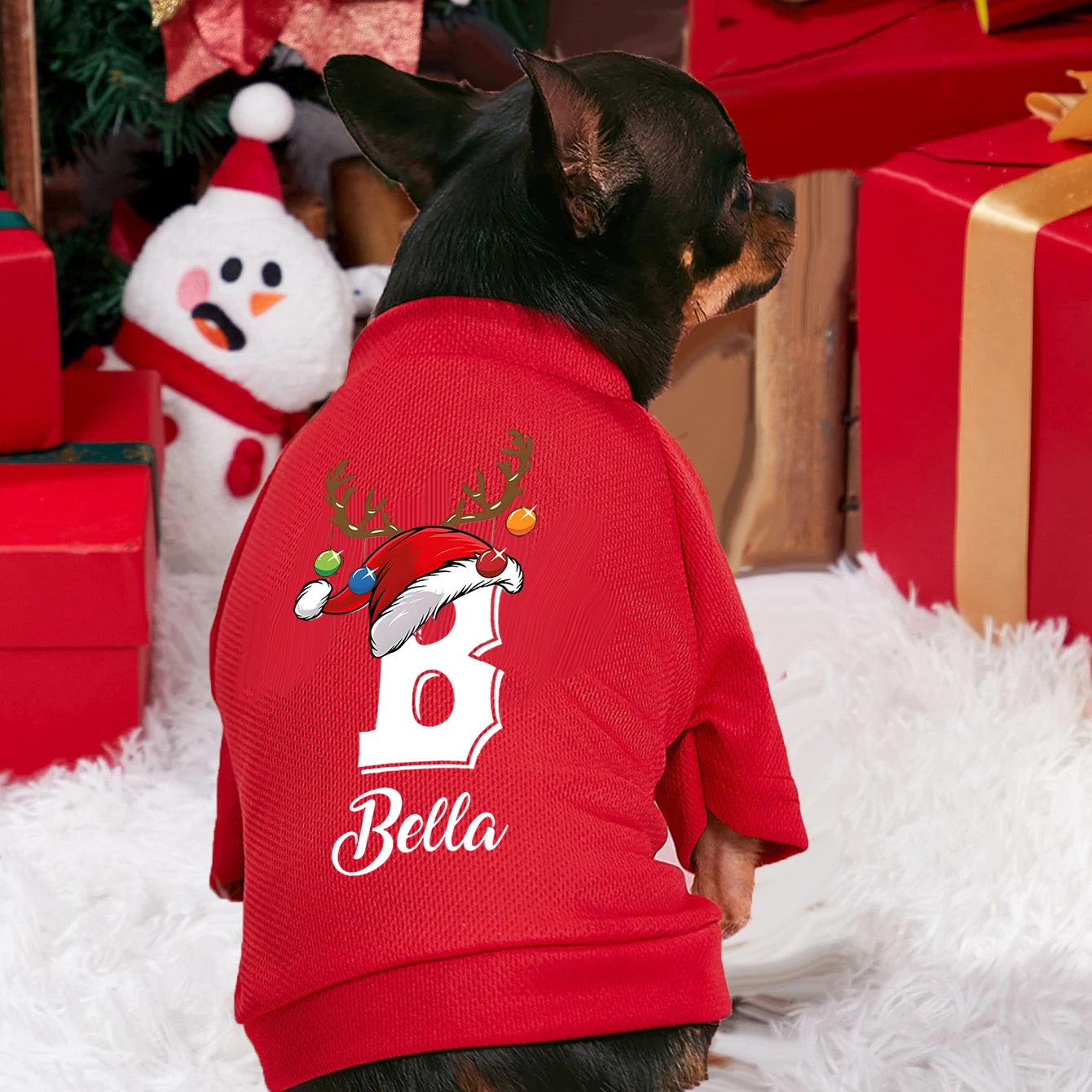 Personalised Christmas Pet Dog - Winter Clothing Name recension och pris