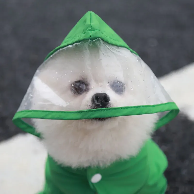 2025 Free shipping Pet jumpsui - Winter Clothing Name recension och pris
