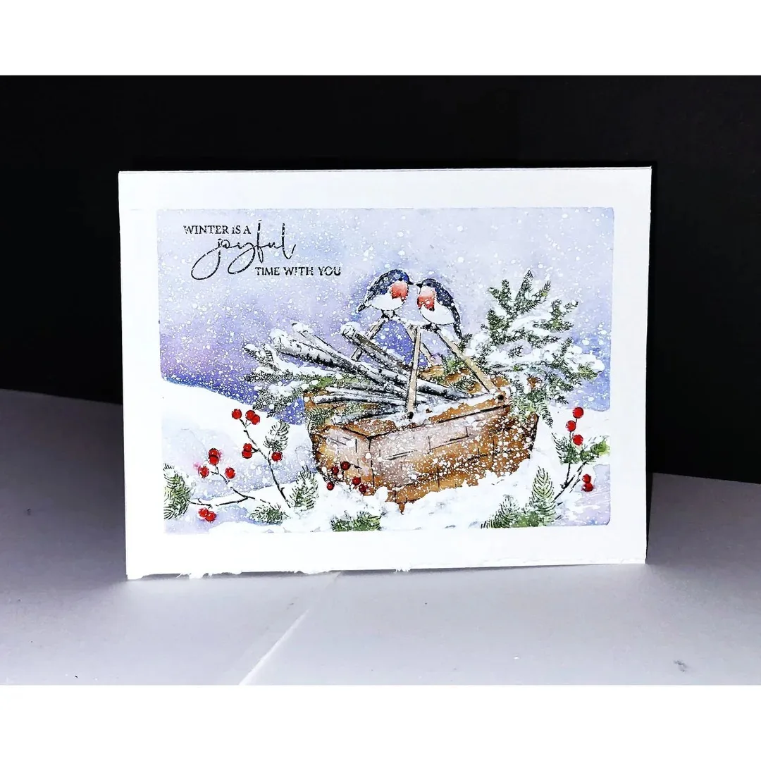 Christmas Snow Frosted Grove W - Winter Clothing Photo recension och pris