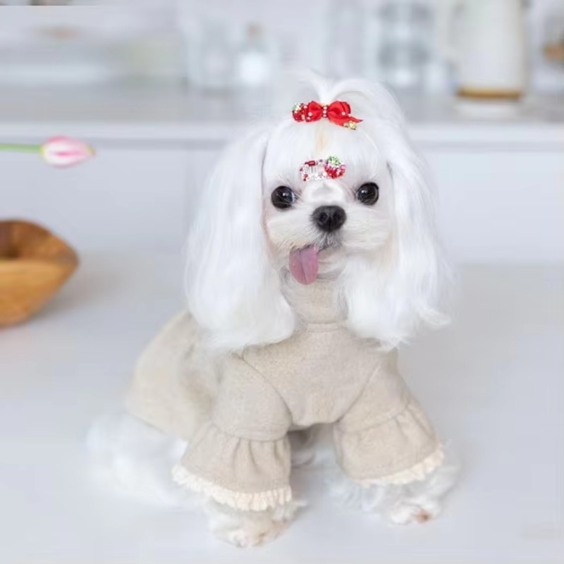 High-end Fall Winter Pet Cloth - Winter Clothing On Sale recension och pris